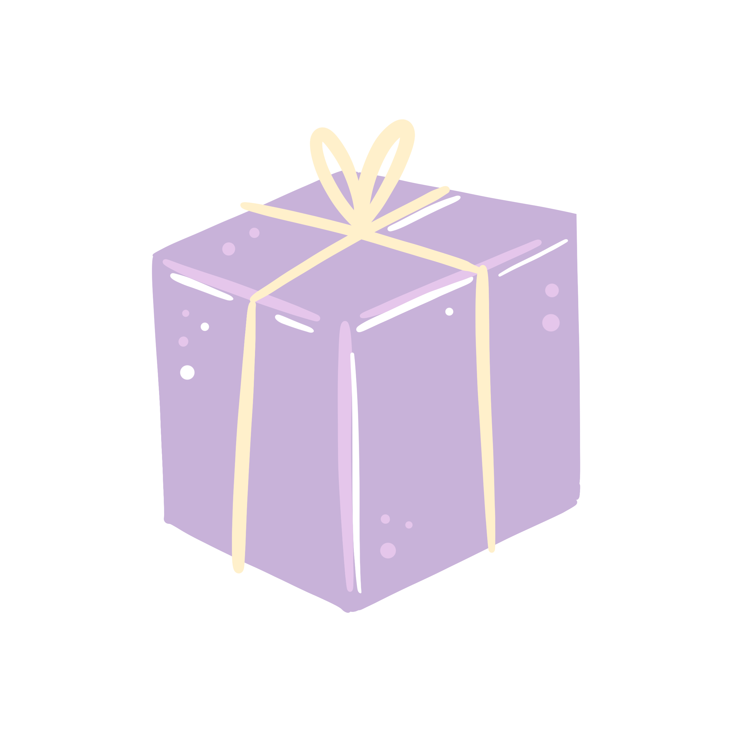 Box Regalo
